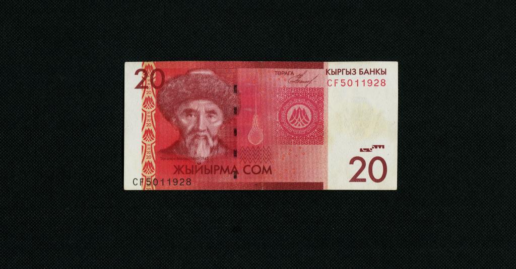 20 сом. 2009 год. Киргизия. Кыргызстан. серия CF. #4199.