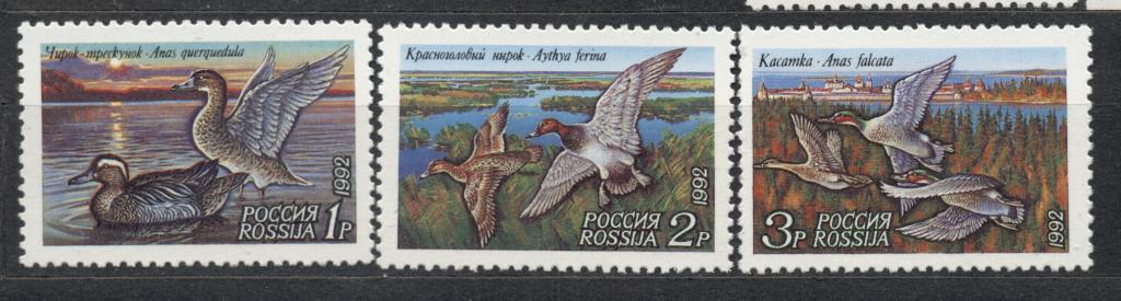Россия 1992 г. серия (марки № 35-37) Утки негашеная**