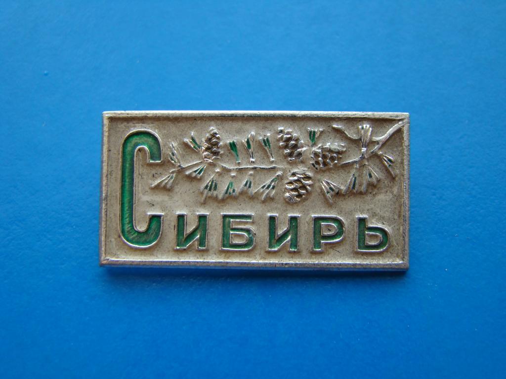 Значок СИБИРЬ #Z1924 — покупайте на Auction.ru по выгодной цене. Лот из ...