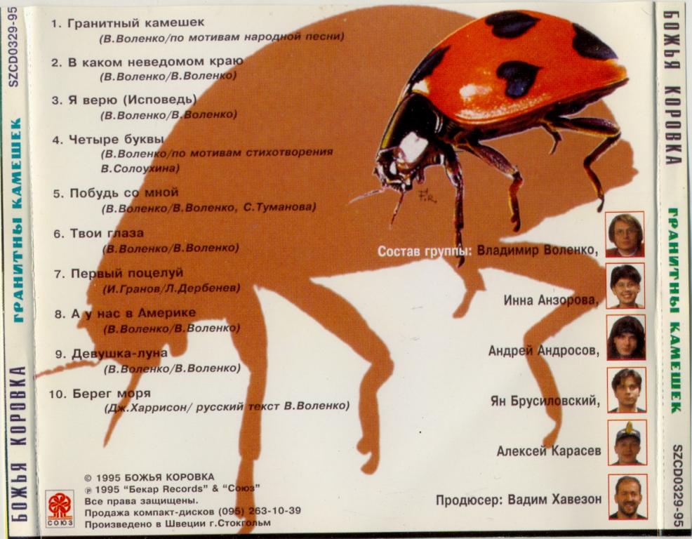 Божья коровка строение тела схема