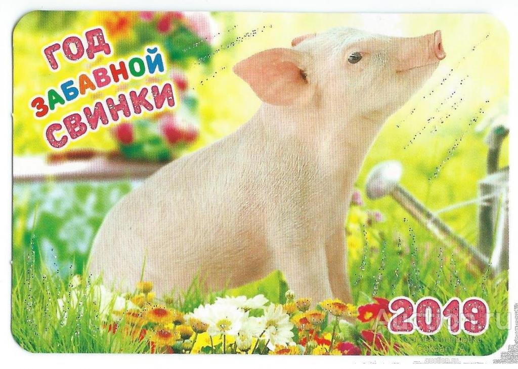 Календарь карманный. Россия.2019. Год забавной свинки.