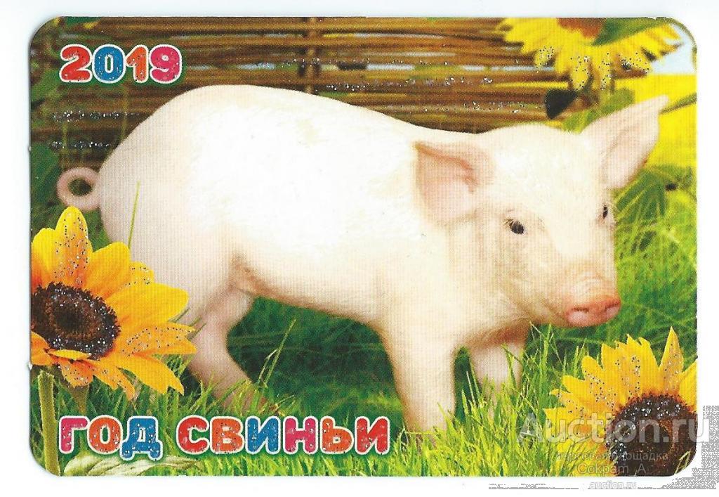 Календарь карманный. Россия.2019. Год свиньи. №12