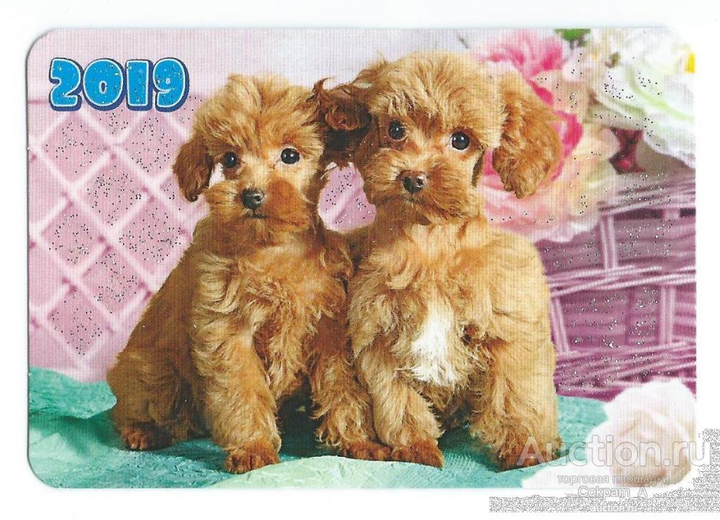 Календарь карманный. Россия.2019. Фауна. Животные. Щенки №3