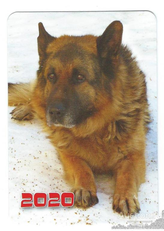 Календарь карманный. Россия.2020. Фауна. Животные. Собаки: Немецкая овчарка №1