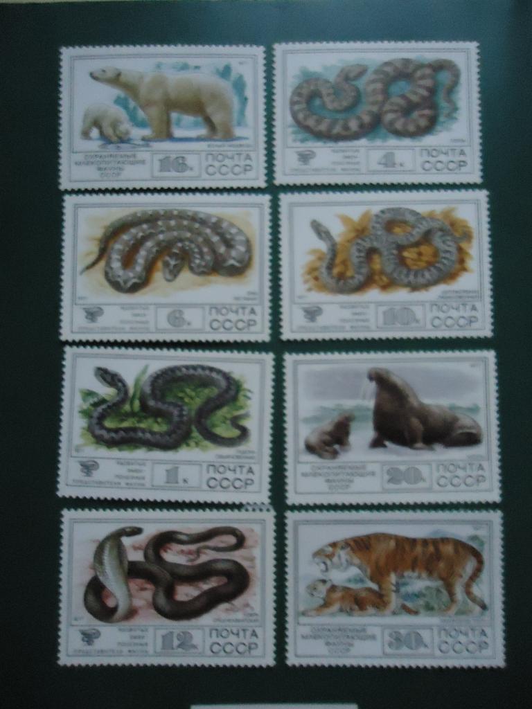 1977 г. Фауна.  Сол. № 4782-4789  MNH.