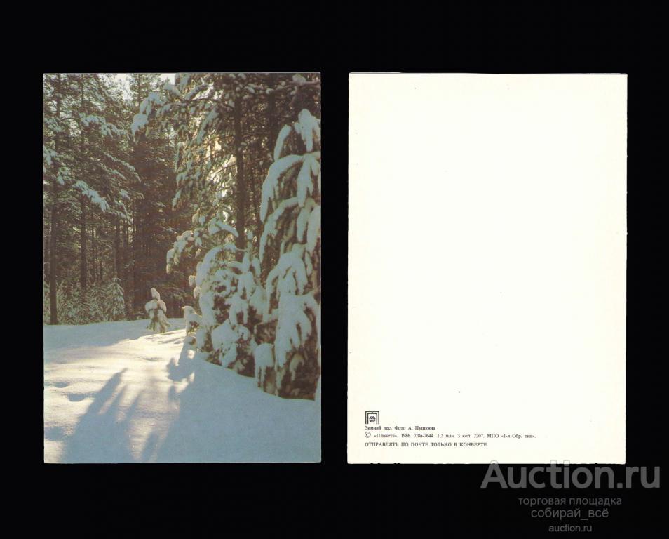 Открытка Зимний лес, 1986 г