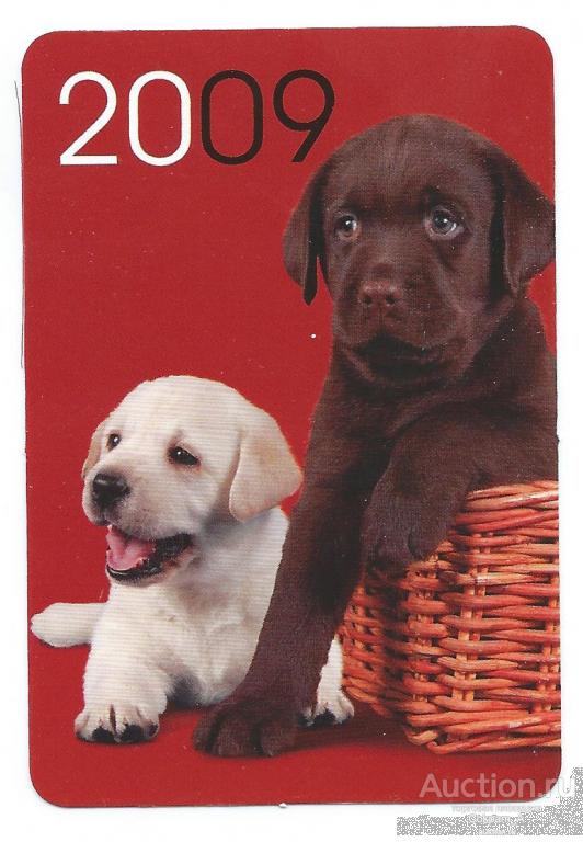Календарь карманный. Россия.2009. Фауна.Животные.Серия"Щенки":Лобрадор