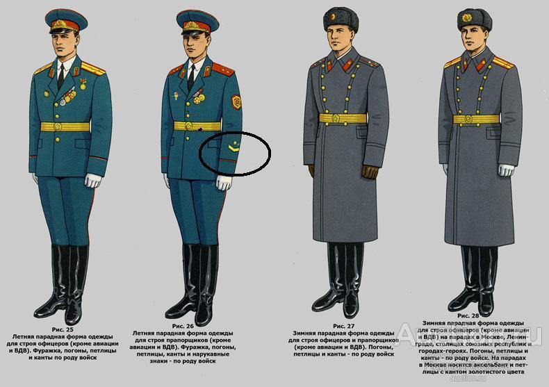 Как должна выглядеть парадная форма
