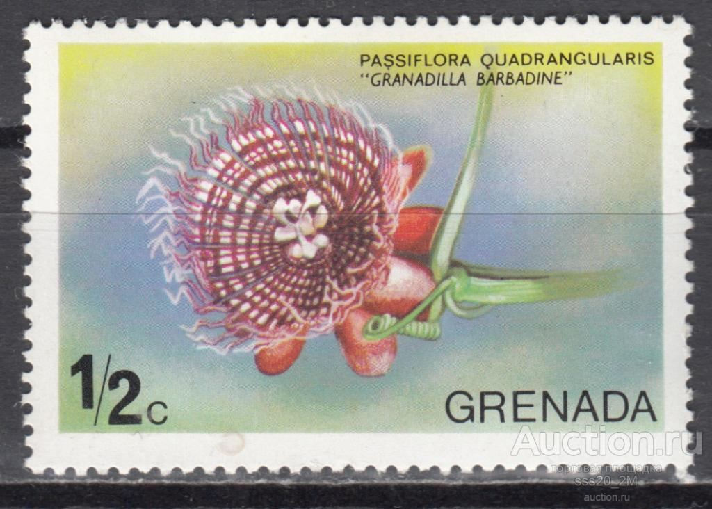 Гренада 1975 страстоцвет четырехгранный Mi639 MNH