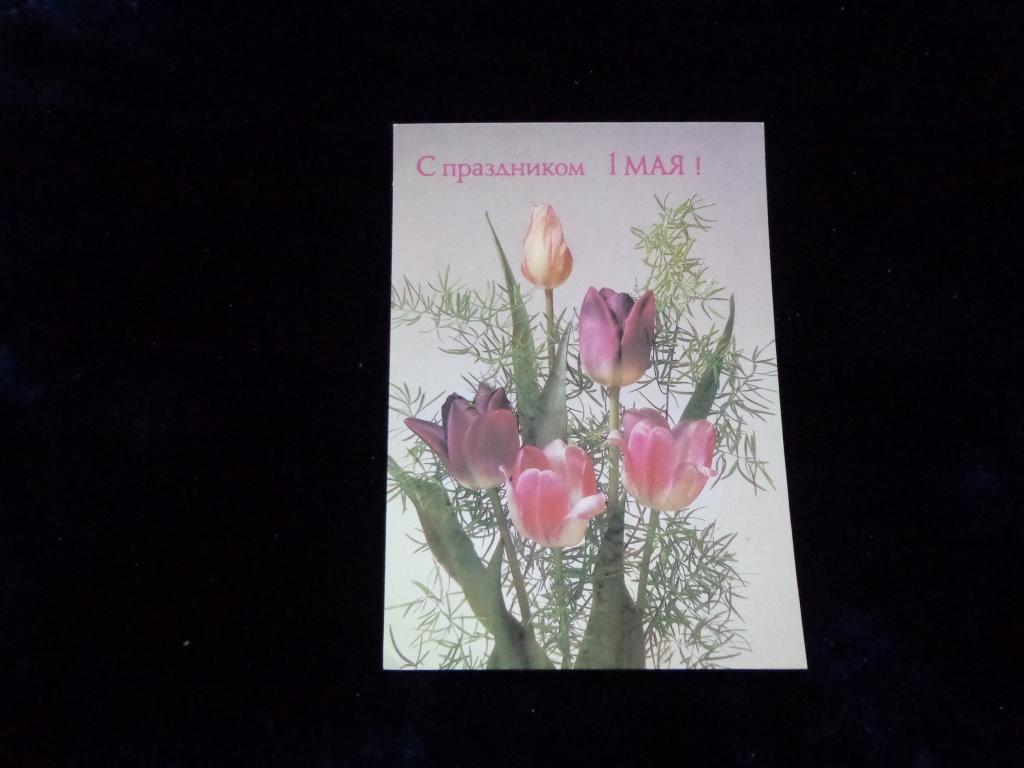 Открытка  С праздником 1 Мая  Дергилев 1988 г.   чистая