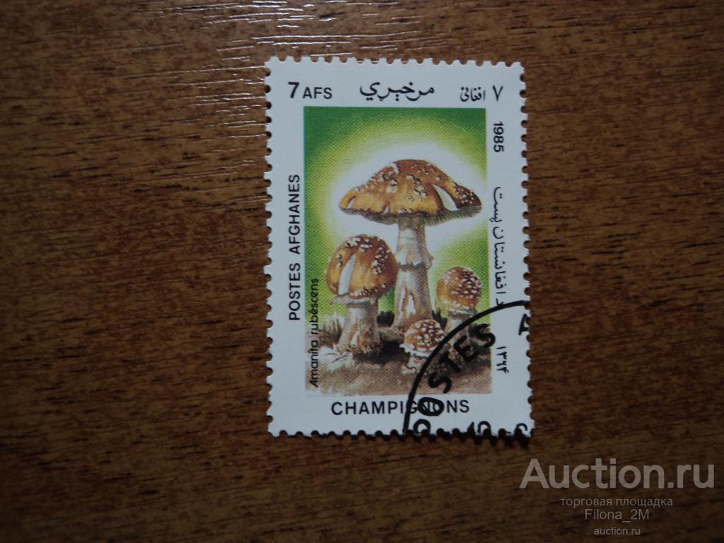 Марки.Афганистан.1985 г.СГ.Флора.Грибы.№ по Mi.1413.