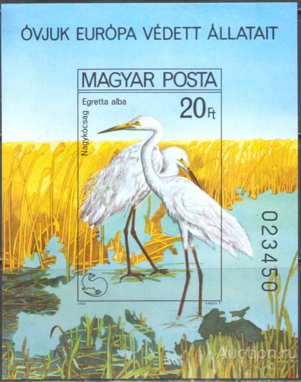 Н1611 ✅ Фауна Птицы Аисты 1980 Венгрия Блок б/з ** 45МЕ