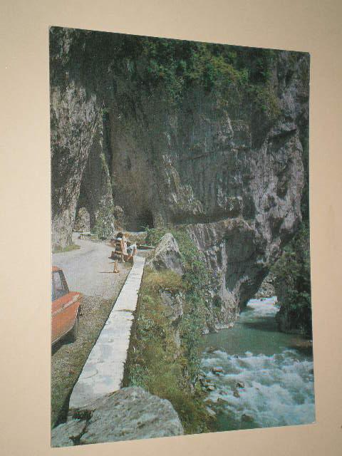 1979 ДМПК СОЧИ По дороге на Красную Поляну (1754)