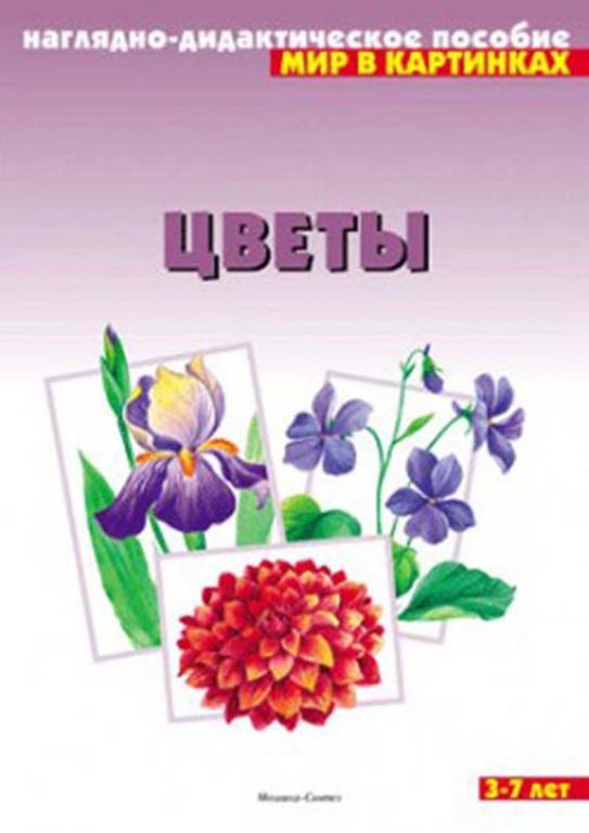 Мир в картинках наглядно дидактическое пособие