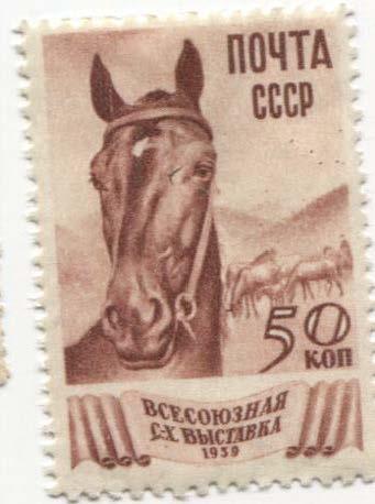 1939.СССР.выставка.Лошадь.простая бумага.*