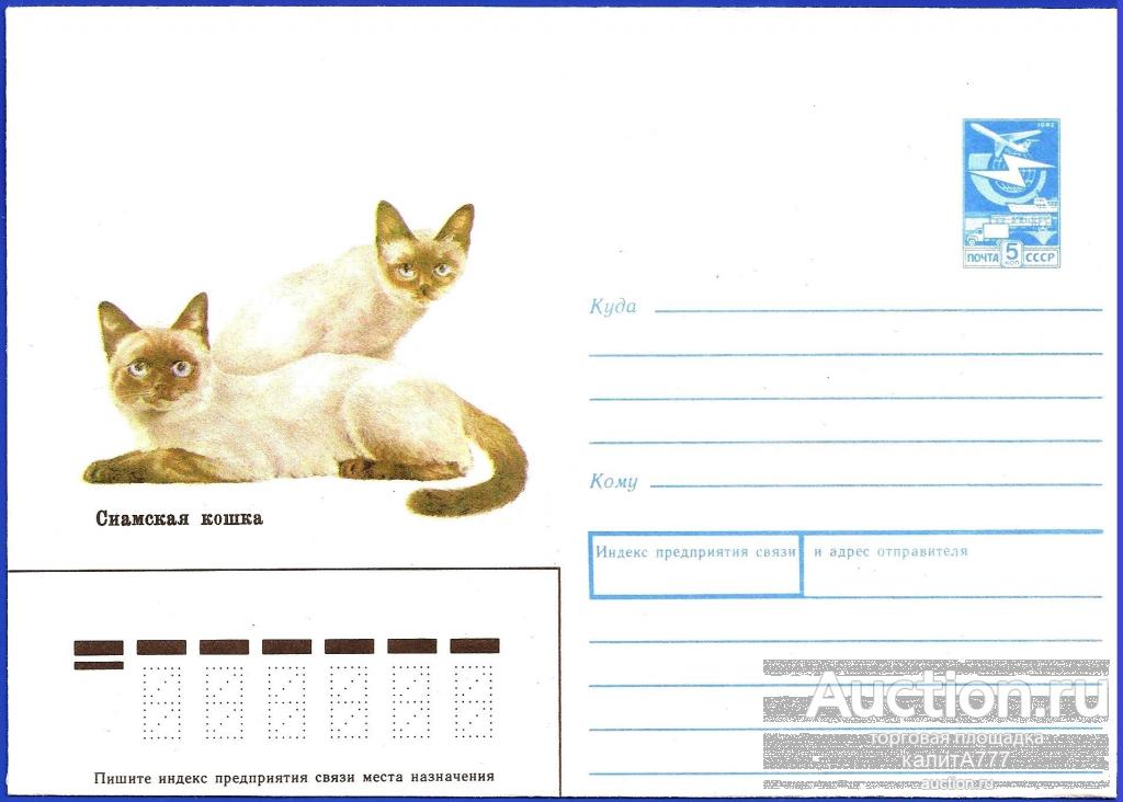 1989 ХМК 89-227. Сиамская кошка.