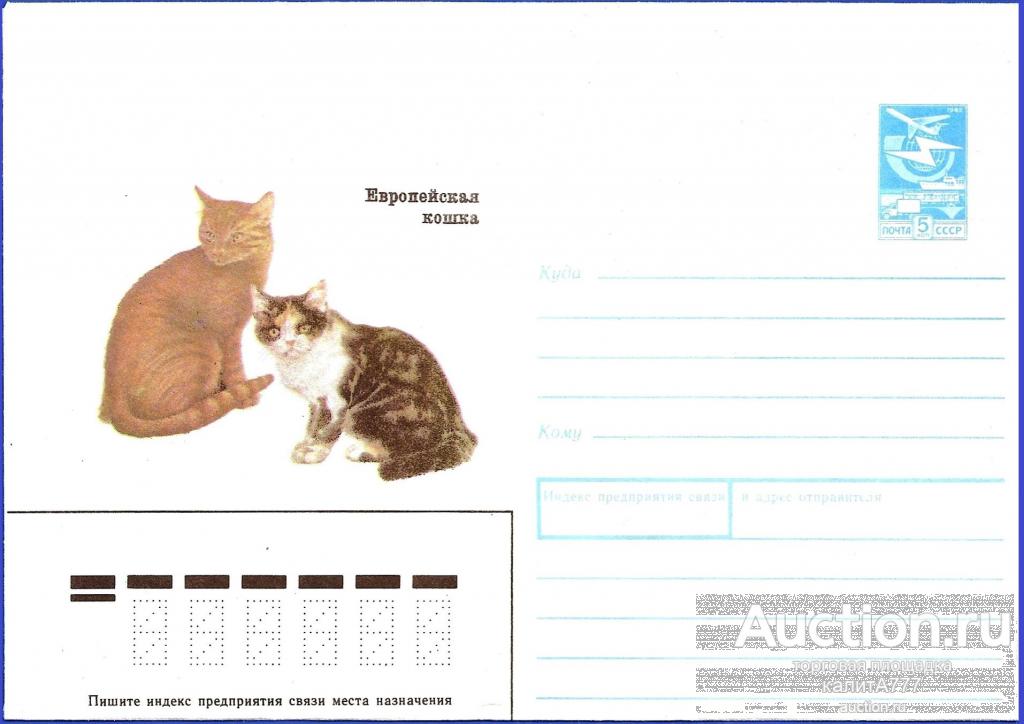 1989 ХМК 89-226. Европейская кошка.