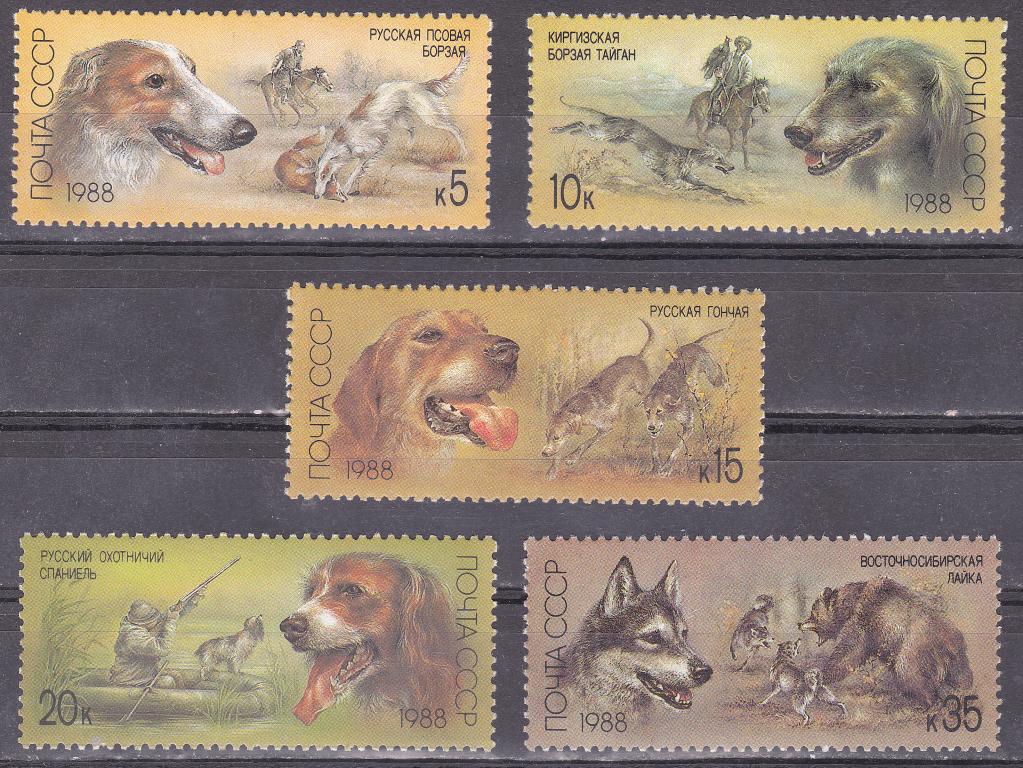 Марки СССР 1988 г. № 5945-5949 Охотничьи собаки Серия 5 марок MNH ** Фауна