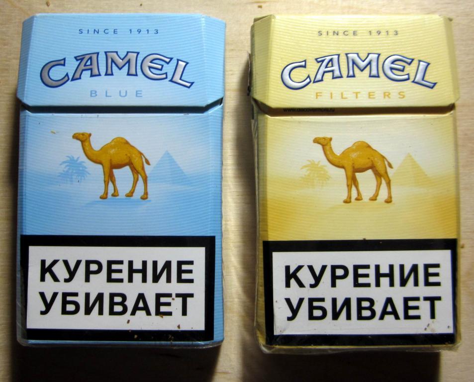 Сигареты кемал. Сигареты Camel Compact 100. Пачка сигарет кэмел желтый. Camel 1913 пачка сигарет. Сигареты кэмел компакт желтый.
