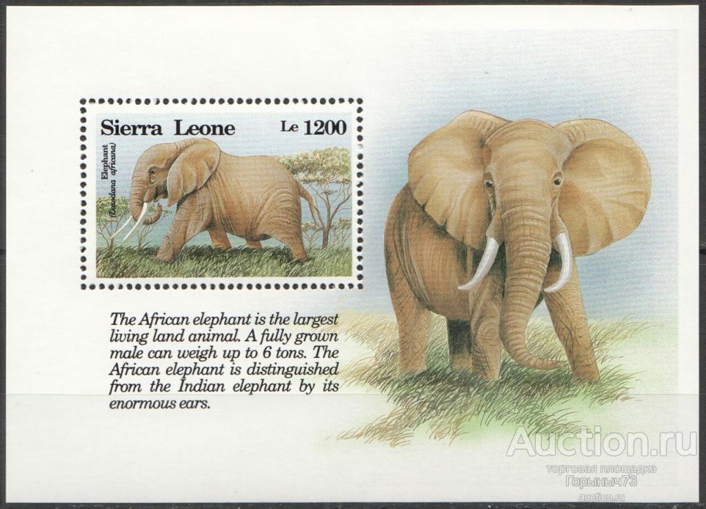 Сьерра Леоне 1993 Бл MNH 8е кат