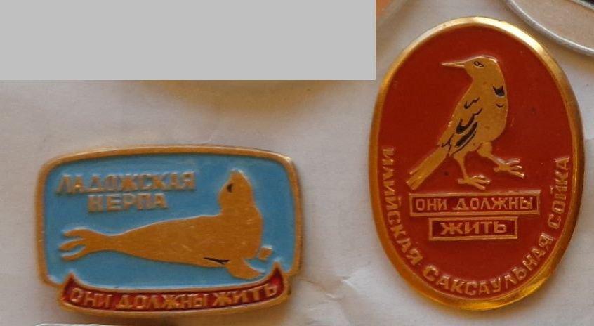 яя75.  Они должны жить Ладожская нерпа Илийская саксаульная сойка фауна птица Красная книга
