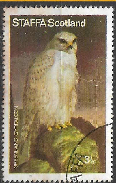 Шотландия.    птица