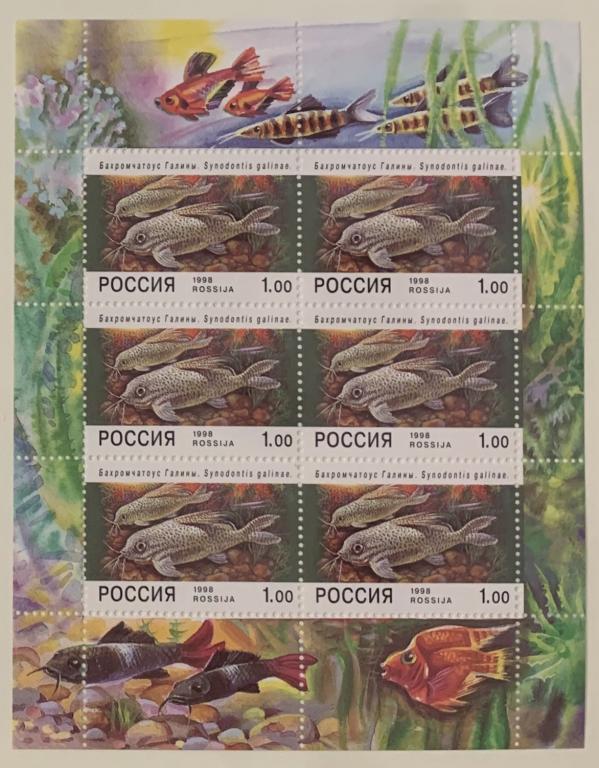 1998г. Аквариумные рыбы. №427 (Заг.)