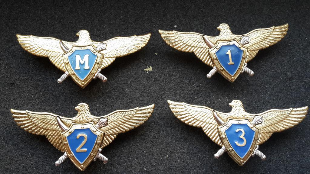 Значок классности 2 степени. Классность размещение. Классность размещение. Классность размещение. Классность 3.