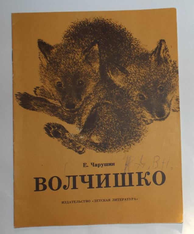 Рассказ чарушина волчишко. Чарушин Волчишко. Е Чарушин Волчишко. Чарушин Волчишко книга. Волчишко Чарушин рисунок.