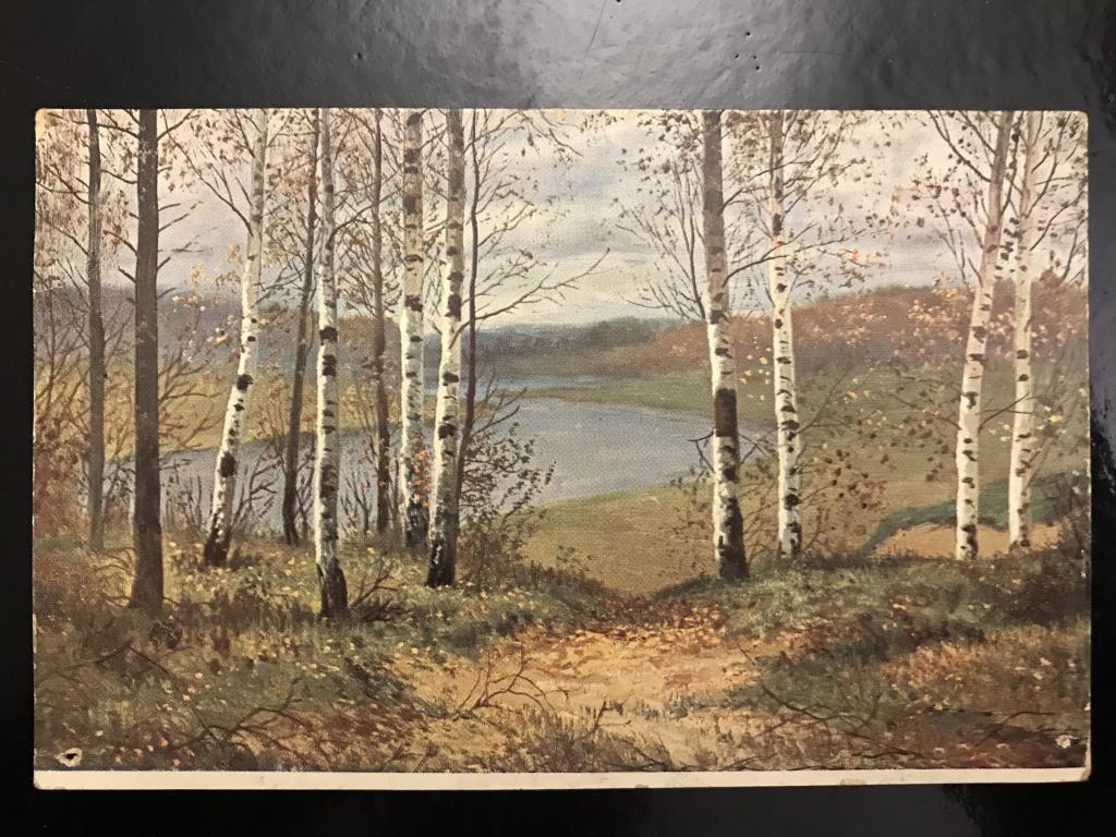 Е.Е. Волков. Осень.