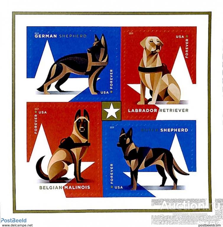 США  2019 Собаки