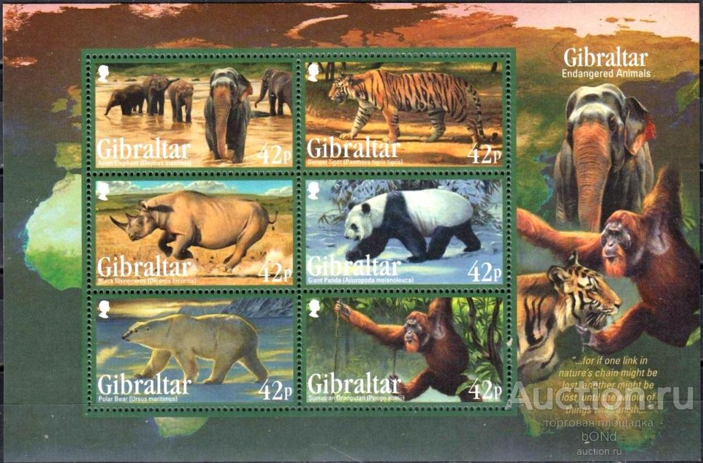 ФАУНА. ЖИВОТНЫЕ.  ГИБРАЛТАР  2011г. 1 блок  ** MNH 6,0 €