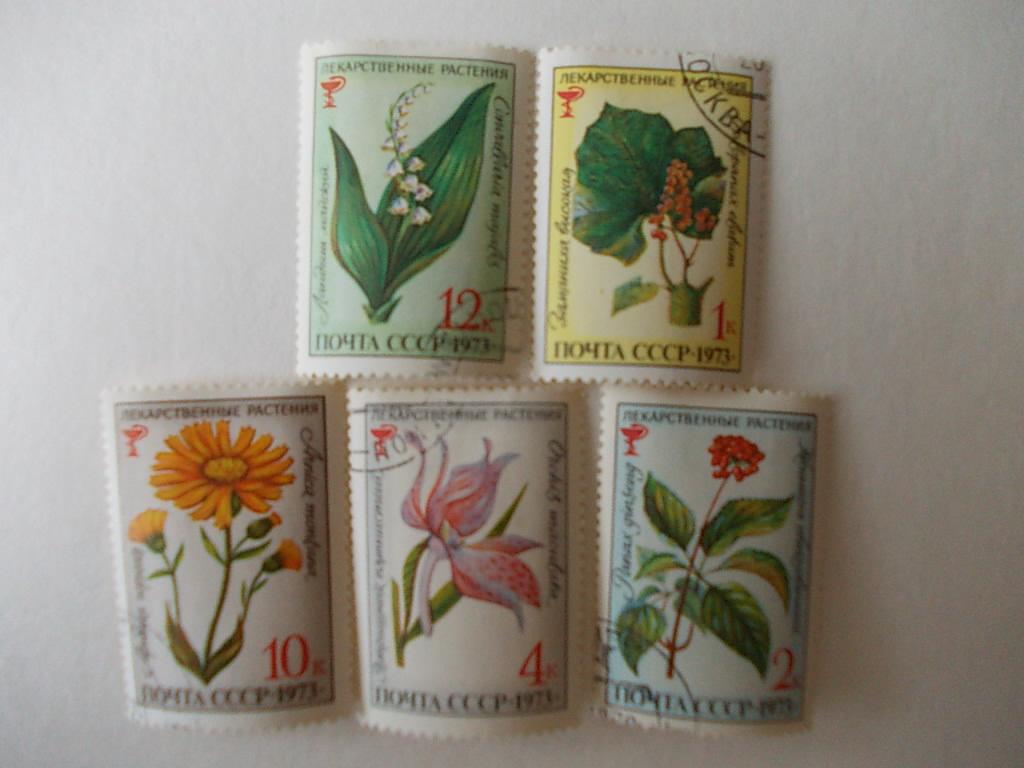 СССР. Флора. Лекарственные растения 1973