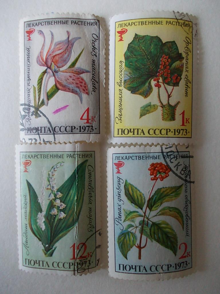 СССР. Флора. Лекарственные растения 1973