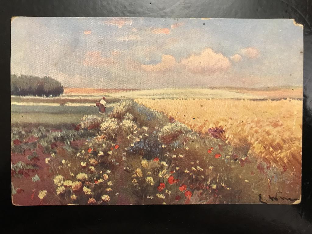 Полевые цветы. Пшеничное поле. Местная жительница.