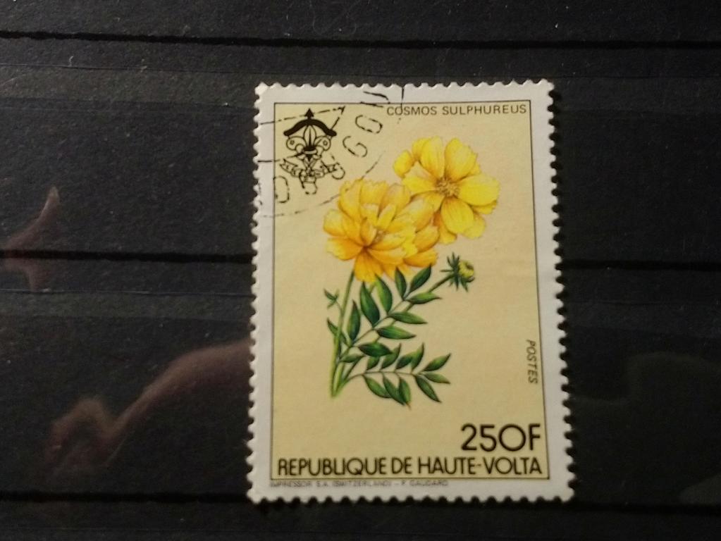 Почтовая марка. Флора. Растения. Верхняя Вольта, 1984г