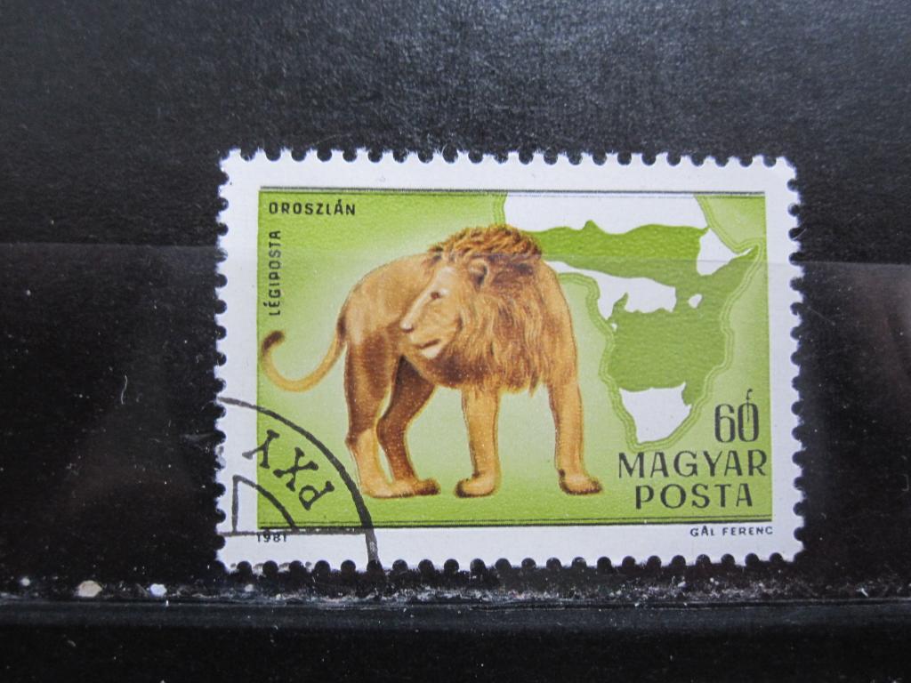 Венгрия серия "Фауна Африки", Лев