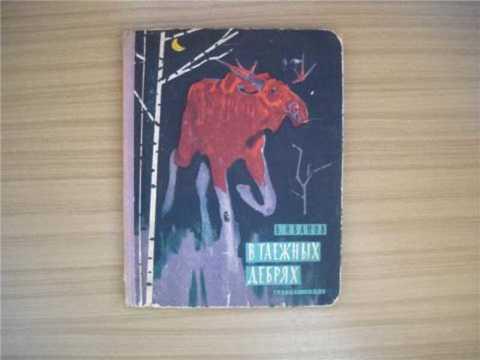 Иванов Дебри Купить Книгу
