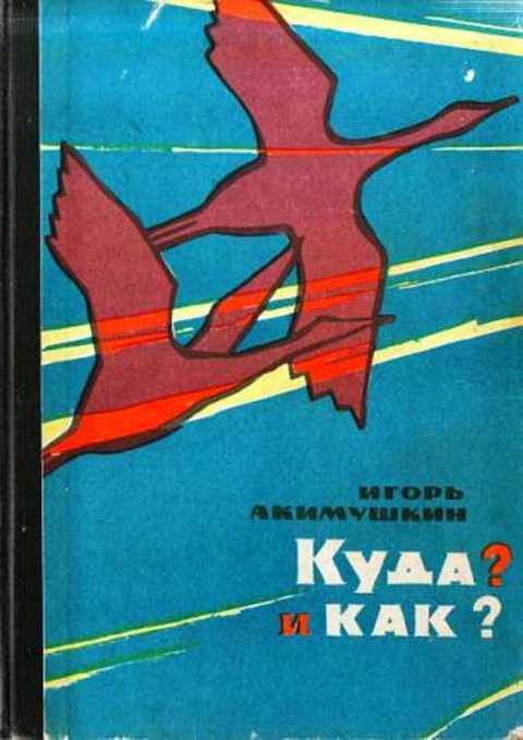 #407692 Акимушкин Игорь Куда? и как?