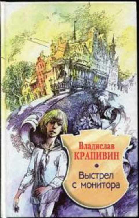 #421694 Крапивин Владислав Выстрел с монитора