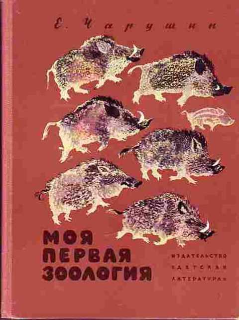 #413151 Чарушин Е. Моя первая зоология