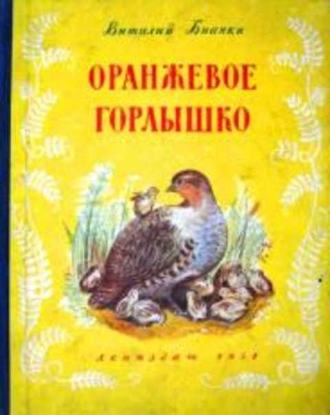 План оранжевое горлышко