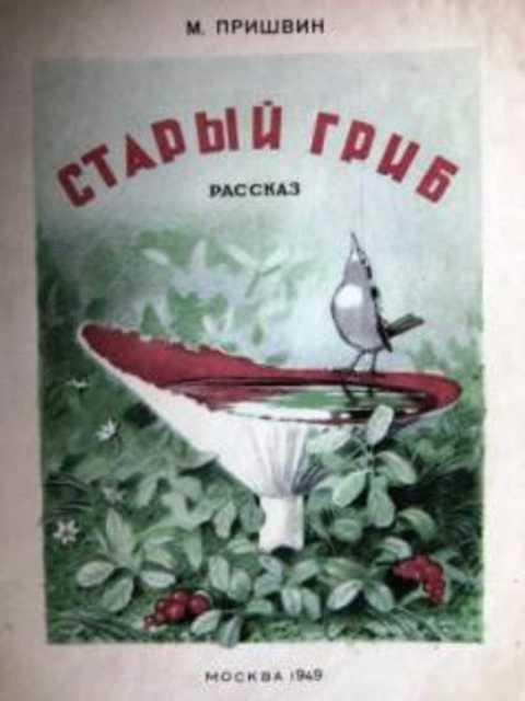 Пришвин сыроежка план