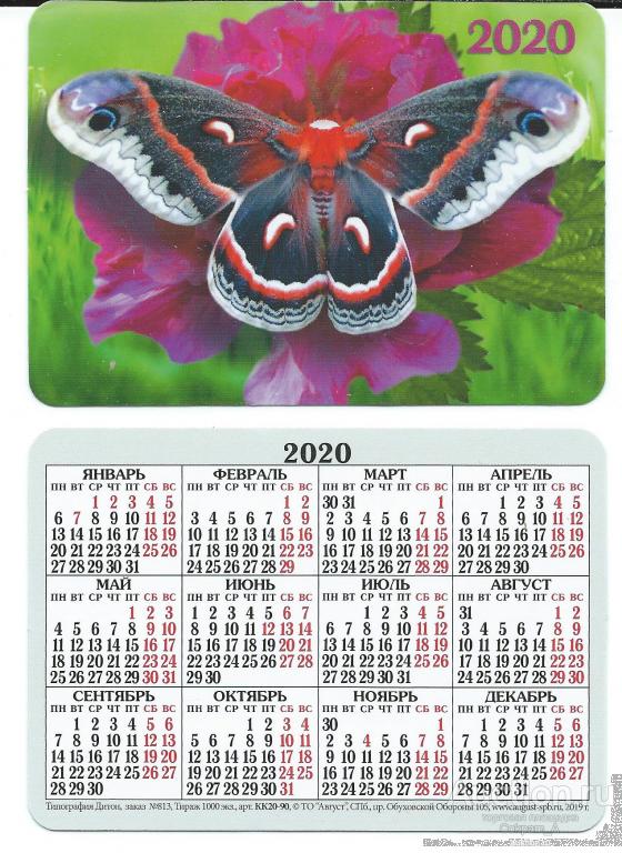 Календарь карманный. Россия.2020. Фауна.Насекомые.Бабочки:Hyalophora cecropia