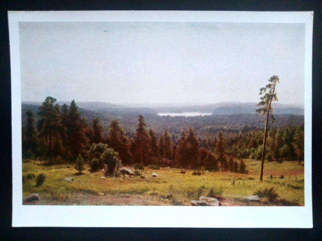 Живопись. 1968 Худ. Шишкин Лесные дали