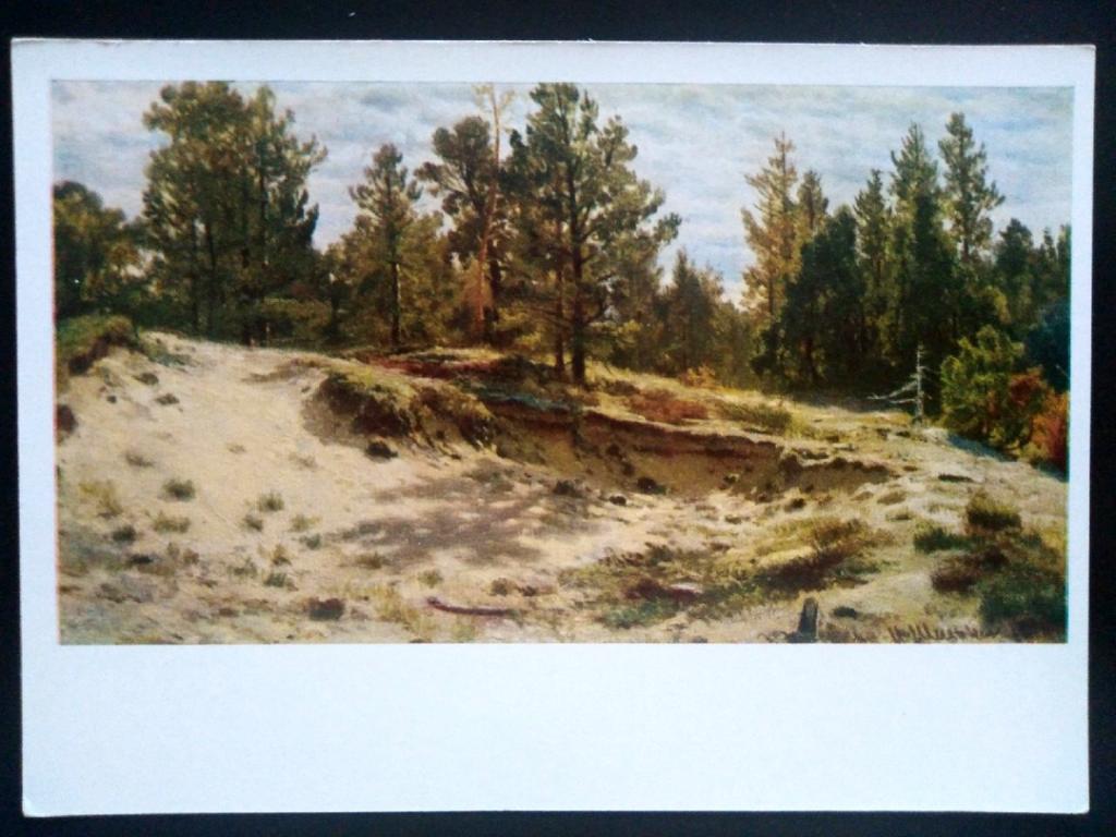 Живопись. 1968 Худ. Шишкин Этюд с натуры