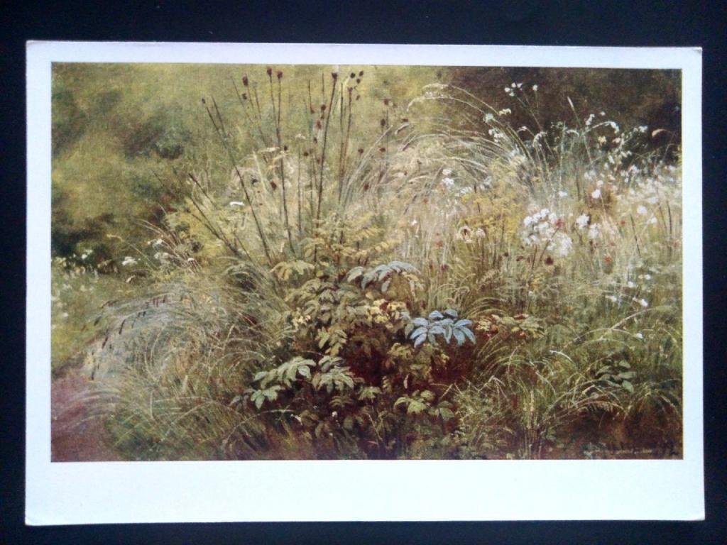 Живопись. 1968 Худ. Шишкин Травки