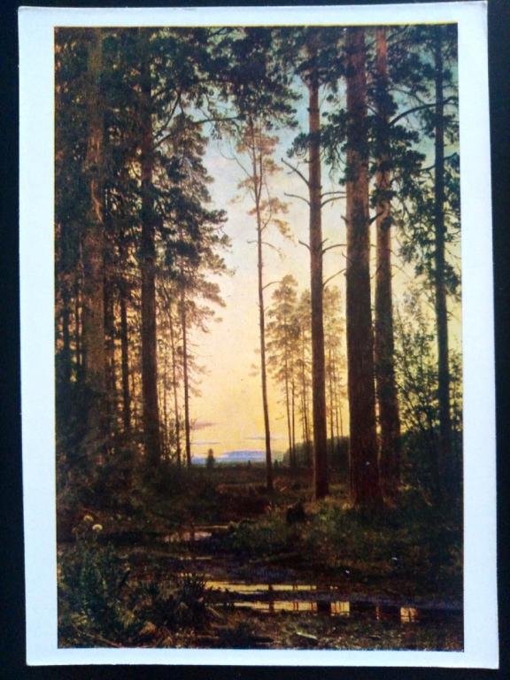 Живопись. 1968 Худ. Шишкин Сумерки