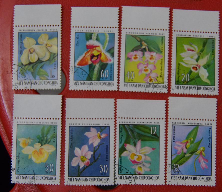 Вьетнам  1976  год  Флора Цветы   Орхидеи Mi 857-864 СТО