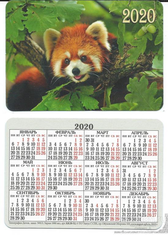 Календарь карманный. Россия.2020. Фауна. Животные. Хорек №2